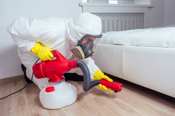 Best Fumigation Services  in Prescott Valley, AZ